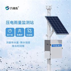 WX-YJ2遙測降水量監測站