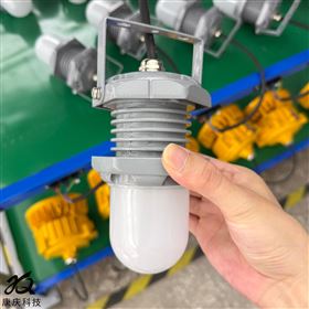 FW6325低压检修泛光灯24V/36V手持行灯