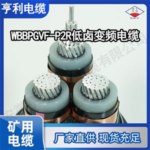传感器变频电缆ZRC-BPYJVPP隔氧层0.9mm