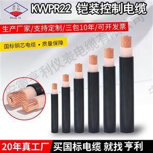 ZA-RVVPZC-KGGP42铠装控制电缆1.6mm护套0.25钢带
