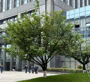 工信部：一季度工业和信息化发展总体实现良好开局