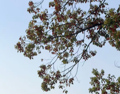 第九届数字中国建设峰会数字经济创新型企业投融资对接会举办