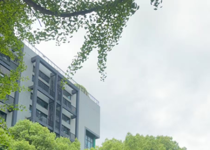 专家解读 | 以系统科学的数据资源统计调查制度 助力数字中国建设