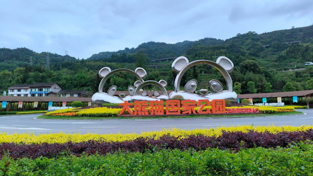 北峰窄带自组网通信解决方案，助力大熊猫国家公园构建林区应急通信网络