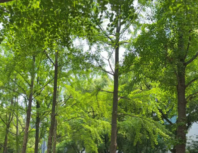 中国信通院获批共建“天基智算系统北京市重点实验室”
